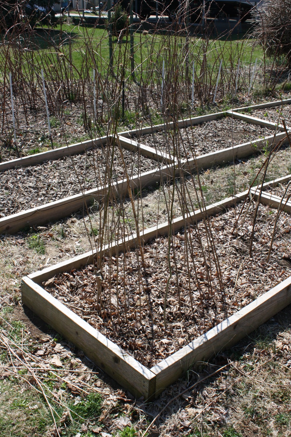 sticks in circle in raised bed